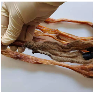 Lu Jin tendine di cervo tendine di cervo essiccato naturale per la vendita - Product Image 4