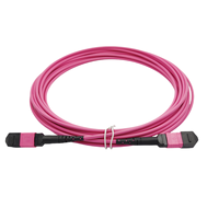 Fábrica MPO/2/M 12 núcleos multimodo OM4 tipo B Personalizado 1M 2M 10M 20M 30M fibra óptica MPO Patch Cord MTP