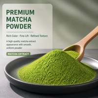 Poudre de mélange pour Matcha Latte 500 Mesh Qualité Barista pour boissons de café, smoothies, mélange sucré en vrac