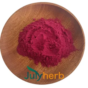Julyherb - Extrato de beterraba orgânica em pó de matéria-prima natural de alta qualidade Julyherb