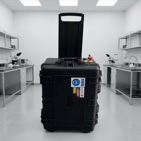Machine de nettoyage au laser à impulsions de fibres portable 100W/200W/500W pour l'élimination de la rouille du bois et du métal