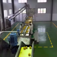 Automatische turnkey sinaasappelsapverwerkingsmachine 2026, citrus sap NFC productielijn, hoge capaciteit