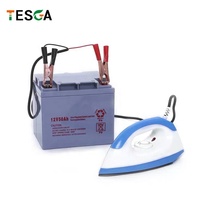 Mini Fer à Repasser Électrique Solaire à Fonction Sèche DC 12V 80W/100W