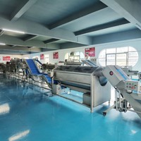 Dezoton Automatische Fruit- en Groenteverwerkingslijn Vortex Wasmachine Watercirculerende Groentewasinstallatie