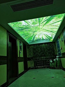 Zhihai Arc Trừu Tượng Đẹp Đêm Bầu Trời Thiết Kế In Trang Trí Nội Thất Sang Trọng Phòng Khách Trần Giả Thiết Kế - Product Image 6