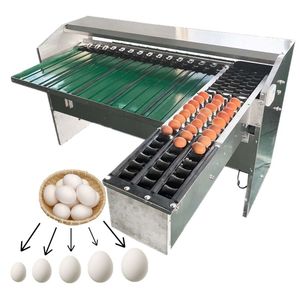 Industrial <b>Egg</b> & Fruit Grading Sorting <b>Machine</b> 304 Stainless Steel 1600 <b>Eggs</b>/h Capacity China Origin - Product Image 3