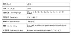 YE60 스테인리스 스틸 캡슐 압력 게이지 0-100 KPa 미세 압력 진공 음압 게이지 1년 보증 OEM - Product Image 6