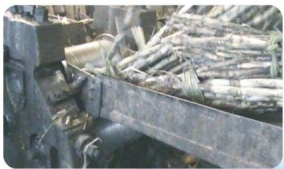 Соковыжималка для сахарного тростника - Product Image 4