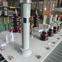 Transformador Sumergido en Aceite de Bajo Ruido y Funcionamiento Estable, 10kV a 380V, Trifásico, para Distribución de Energía en Edificios Comerciales