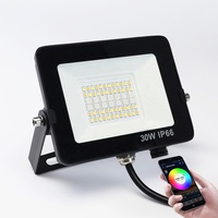 IP66 Lampe App Télécommande 35w 50w Dimmable Paysage Extérieur RGBCW Projecteur Led