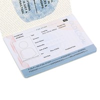 Impression personnalisée de passeport pour animaux de compagnie en feuille d'or avec logo personnalisé, OEM ODM, vente en gros d'usine, impression personnalisée de passeport pour chiens et chats