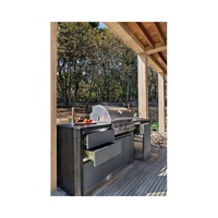Design créatif Cuisine pour barbecue en acier inoxydable Armoire d'évier de cuisine Armoires de cuisine d'extérieur avec gril d'extérieur