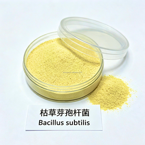Bacillus Subtilis 100 Mil Millones de UFC/g, Aditivo Probiótico <span class=keywords><strong>para</strong></span> Alimentación de <span class=keywords><strong>Ganado</strong></span> Vacuno, <span class=keywords><strong>para</strong></span> Engorde y Producción de <span class=keywords><strong>Carne</strong></span>, Pasto y Forraje - Product Image 5