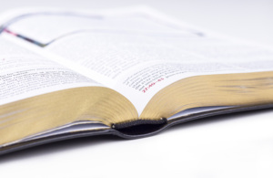 Impresión <span class=keywords><strong>de</strong></span> Biblias OEM, Fabricante Profesional, Venta al por Mayor <span class=keywords><strong>de</strong></span> Biblias, <span class=keywords><strong>Biblia</strong></span> Reina Valera 1960 en Español, Diario Bíblico - Product Image 4