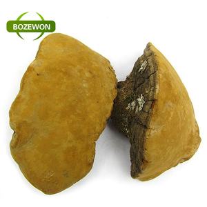 Per uso alimentare estratto di fungo <span class=keywords><strong>Sang-Hwang</strong></span> miglioramento dell'immunità Phellinus Igniarius in polvere confezionato in tamburo - Product Image 4