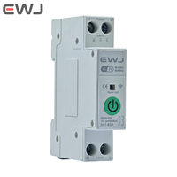 Disjoncteur miniature intelligent Télécommande sans fil WIFI 1-63A Réglable 90-300V 50/60Hz Protection ignifuge Surcharge
