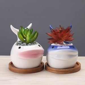 Design moderne transfrontalier pour <span class=keywords><strong>Amazon</strong></span> <span class=keywords><strong>Pot</strong></span> <span class=keywords><strong>de</strong></span> <span class=keywords><strong>fleur</strong></span> charnu intérieur série océan dessin animé <span class=keywords><strong>Pot</strong></span> <span class=keywords><strong>de</strong></span> plante en céramique approvisionnement créatif - Product Image 3