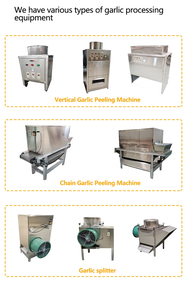 Machine à éplucher l'ail automatique à grande vitesse et haute efficacité en acier inoxydable, avec fonctionnement facile et conception à seau - Product Image 3