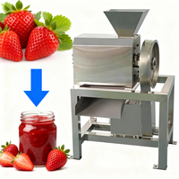 Tomaten- en mangopulp maakmachine, hoge productiviteit fruitverwerkingsinstallatie, 1500W motor, mini-pulper