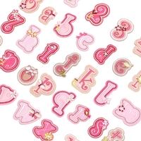 Patchs brodés miniatures roses fantaisie et mignons à motifs de dessins animés, thermocollants ou à coudre pour vêtements, casquettes et chapeaux