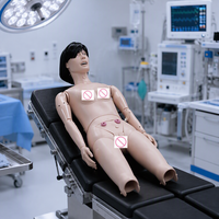 Maniquí Médico de Enfermería Básico Labpilot, Modelo Anatómico para Prácticas de Enfermería, Entrenamiento Hospitalario