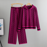 Costume tricoté femmes printemps automne tempérament pull à capuche pantalon large pantalon deux pièces costume 2025 vêtements en gros