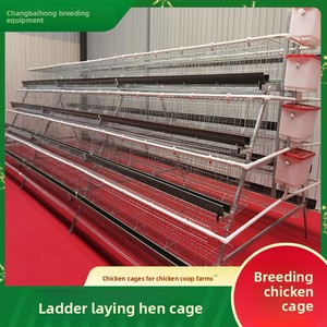Cages à poules pondeuses à étages d'origine chinoise, systèmes d'élevage tridimensionnels à trois ou quatre niveaux, garantie de 3 mois - Product Image 5
