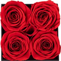 Konservierte Rose Muttertags- & Geburtstagsgeschenkbox 36x3x5 Zoll für Mama Freundin Ehefrau Oma
