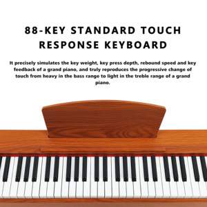 Piano Digital Profesional Beisite OEM de 88 Teclas con Peso Real para Principiantes, Piano Eléctrico con <span class=keywords><strong>Teclado</strong></span> Doble, Pedal de Sustain y Grabación - Product Image 3