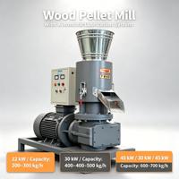 Équipement de fabrication de granulés de bois 200-700 kg/h, moulin à granulés de sciure de bois biomasse avec système de lubrification automatique