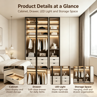 Armoire intégrée moderne sur mesure avec portes en verre, éclairage LED, 2 tiroirs, porte pleine en bois massif pour chambre et hôtel