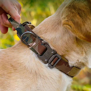 Mehrfarbiges, verschleiß festes Schnellverschluss-Schwermetall-Nylon-Gurtband für Hunde leine für mittelgroße Hunde, taktisch - Product Image 3