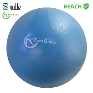 Zhensheng Anti-burst Yoga Ball Exercise Ball Harmony Style Swiss Ball For Balance Pregnancy