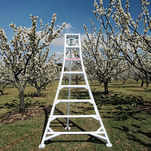 Aluminum <strong>Garden</strong> Fruit Used Tripod <strong>Ladder</strong> - Product Image 3