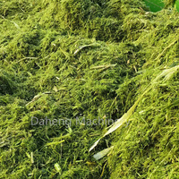 Récolteuse de maïs de haute qualité 2 rangées de machine de moissonneuse de paille de maïs d'ensilage de Napier