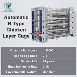 Equipo Avícola para Gallinas Ponedoras, Sistema de Jaulas Automáticas Tipo H de Acero Galvanizado en Caliente para Granjas Avícolas en Angola - Product Image 2
