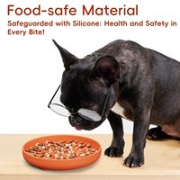 ZMaker Bol de nourriture pour chien en silicone de qualité alimentaire Passe au lave-vaisselle pour chien à alimentation lente Arc-en-ciel Bol pour chien à alimentation lente avec ventouses