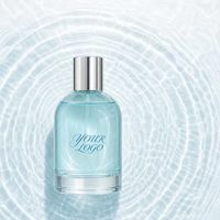 Flacon de parfum en verre à épaule ronde avec logo personnalisé, bouchon en métal argenté, 100 ml, parfum personnalisé, OEM ODM, vente en gros, unisexe