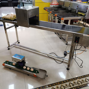 Herramienta de producción de alta velocidad de codificación fácil de usar, adecuadas máquinas de impresión de empresas avícolas a gran escala en huevos - Product Image 5