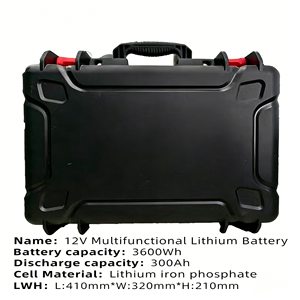 Batterie marine LiFePO4 à décharge profonde 12,8 V 25,6 V 100 Ah 200 Ah étanche au lithium-ion pour moteur de pêche à la traîne et applications solaires – Vente en gros - Product Image 4