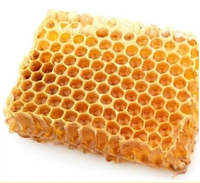 Vente en gros de plaques et blocs de cire d'abeille brute, cire d'abeille raffinée pour le rouge à lèvres et les soins de la peau