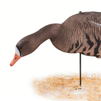 Offre Spéciale : Ensemble de leurres réalistes pour oies à poils tachetés, légers en EVA avec pieds orange, pour activités de plein air, leurres 3D multi-positions.