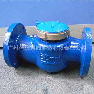 Medidor de Agua Rotatorio de Paletas LXS-15E IP68, Medidor de Agua Fría y Caliente de Hierro Fundido y Latón, Pantalla Digital, Diseño Mecánico Digital a Prueba de Goteo - Product Image 1