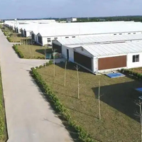 Ruixing – Bâtiments préfabriqués modernes à structure en acier pour fermes avicoles et bovines, hangars, ateliers, résistance au vent élevée