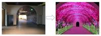 Pantalla LED Inmersiva P2.9 para Túneles, para Museos, Parques Temáticos, Instalaciones de Arte y Entretenimiento