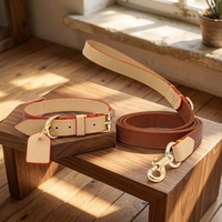 Ensemble collier et laisse pour animaux de compagnie en cuir personnalisable en gros avec étiquette gravée pour chiens et chats, pour les promenades en extérieur