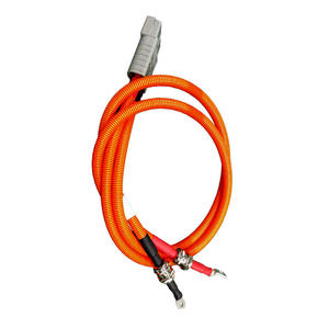 Anpassbares Kabel mit langem Kern und benutzer definierten Batterie klemmen - Product Image 4