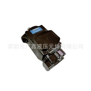 Pompe à aubes T6CC 012 008 1R00 B1, pompe à huile tandem pour systèmes hydrauliques de machines-outils de moulage par injection - Product Image 4