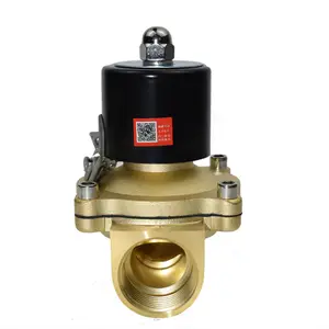 12VDC 24VDC Normally Closed brass Solenoid Valve electric gas valve