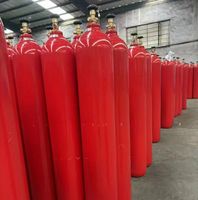 Cilindro de CO2 Estándar de 15L, Recipiente a Presión sin Costuras, Certificado Internacionalmente, Botella de Gas Dióxido de Carbono, Fácil de Usar
